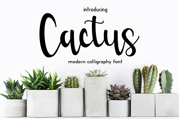 Cactus sample image